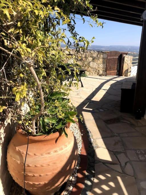 'I Folia' Village House With Roof Garden And Terrace Pissouri Exteriér fotografie